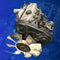 Hyundai H100 D4BB Engine