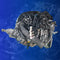 Toyota 4GR‑FE 2.5L V6 Engine with Automatic Gearbox, ECU, and Wiring