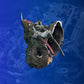 Chevrolet B12D1 5-Speed Manual Gearbox