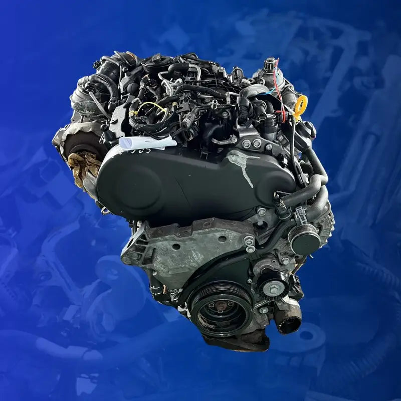 Volkswagen 2.0 TDI CFG Engine